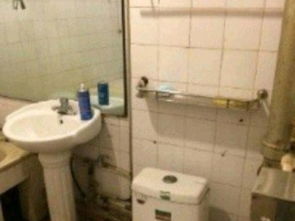 长治路电建二公司宿舍 紧邻北美、48中的优质租房选择